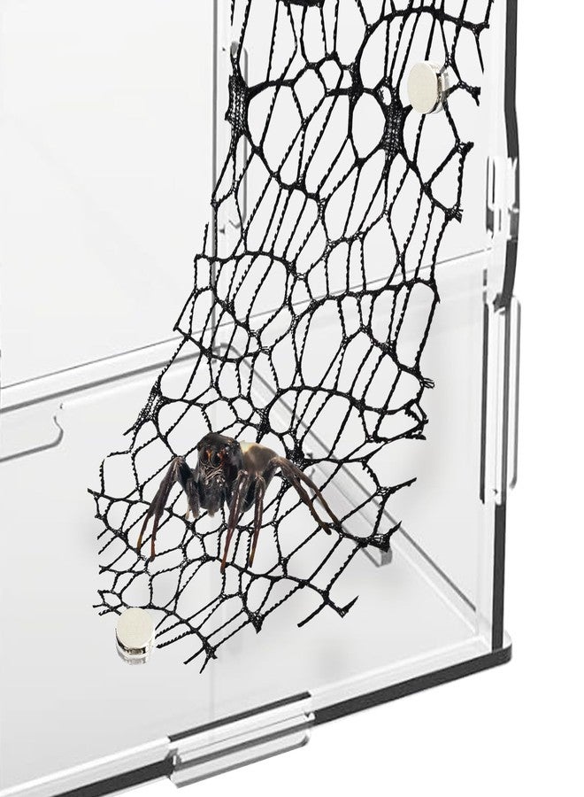 Niuohoy 6 Pack Tarantula Enclosure Accessories Jumping Spider Habitat Accessories with 16pcs Magnets Spider Terrarium Decoration Praying Mantis Habitat Jumping Spider Climbing Mesh (Black) - Image 5